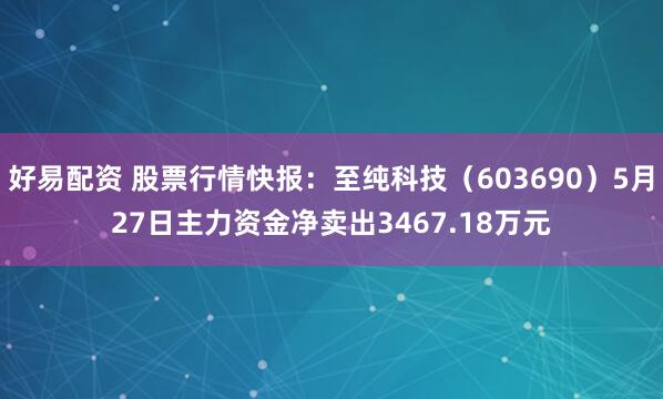 好易配资 股票行情快报：至纯科技（603690）5月27日主力资金净卖出3467.18万元