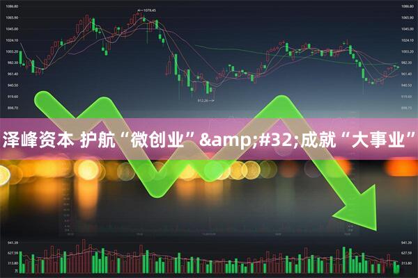 泽峰资本 护航“微创业”&#32;成就“大事业”