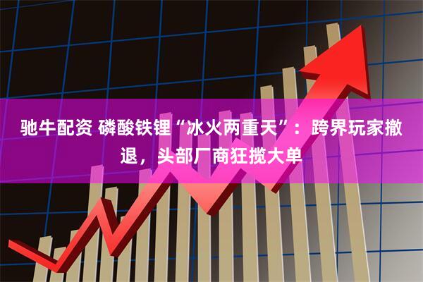 驰牛配资 磷酸铁锂“冰火两重天”：跨界玩家撤退，头部厂商狂揽大单