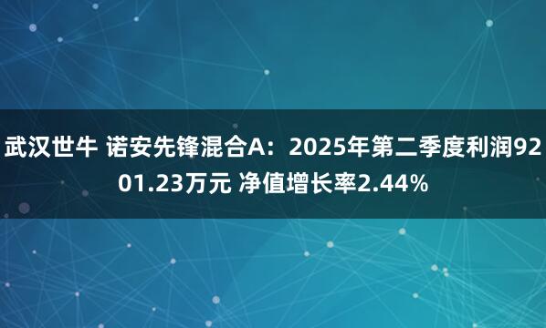 武汉世牛 诺安先锋混合A：2025年第二季度利润9201.23万元 净值增长率2.44%