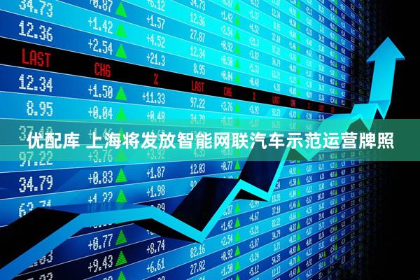 优配库 上海将发放智能网联汽车示范运营牌照