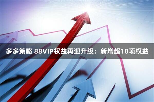 多多策略 88VIP权益再迎升级：新增超10项权益