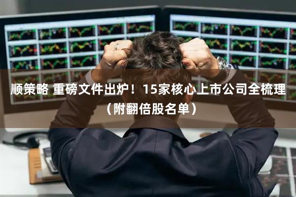 顺策略 重磅文件出炉！15家核心上市公司全梳理（附翻倍股名单）