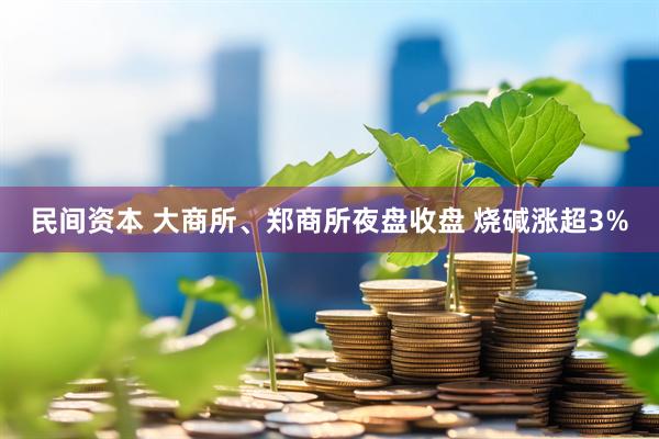 民间资本 大商所、郑商所夜盘收盘 烧碱涨超3%