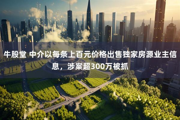 牛股堂 中介以每条上百元价格出售独家房源业主信息，涉案超300万被抓