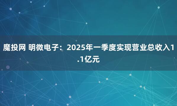 魔投网 明微电子：2025年一季度实现营业总收入1.1亿元